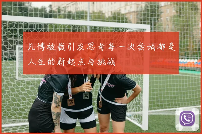 凡博被裁引发思考每一次尝试都是人生的新起点与挑战