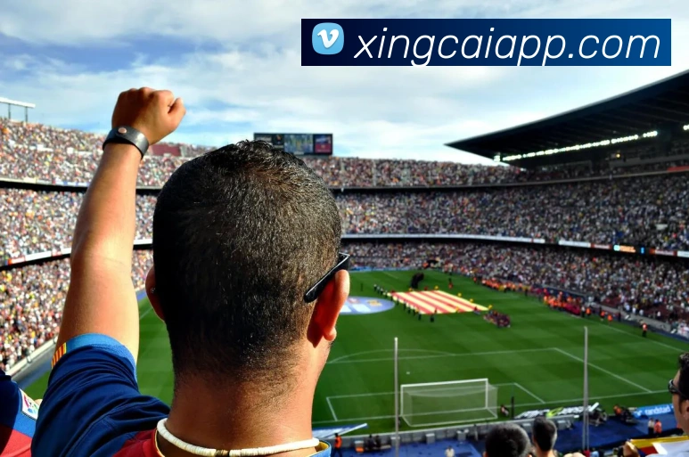 杏彩体育平台生态图