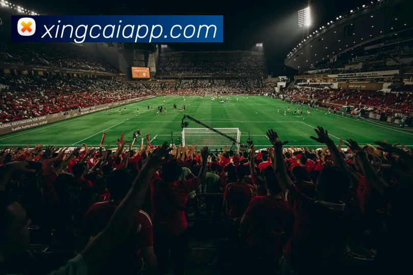 杏彩体育APP 封面图