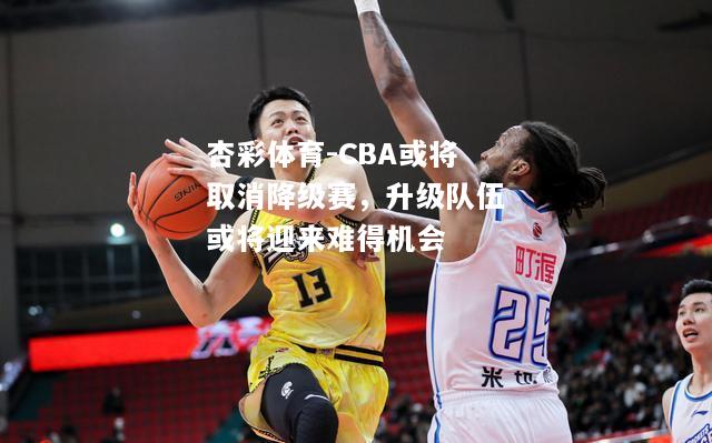 杏彩体育-CBA或将取消降级赛，升级队伍或将迎来难得机会